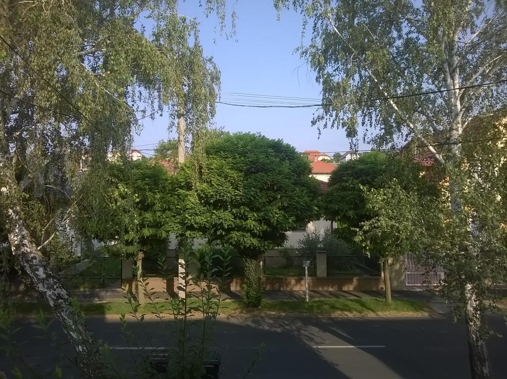 Apartman Nemeth Хевиз Экстерьер фото